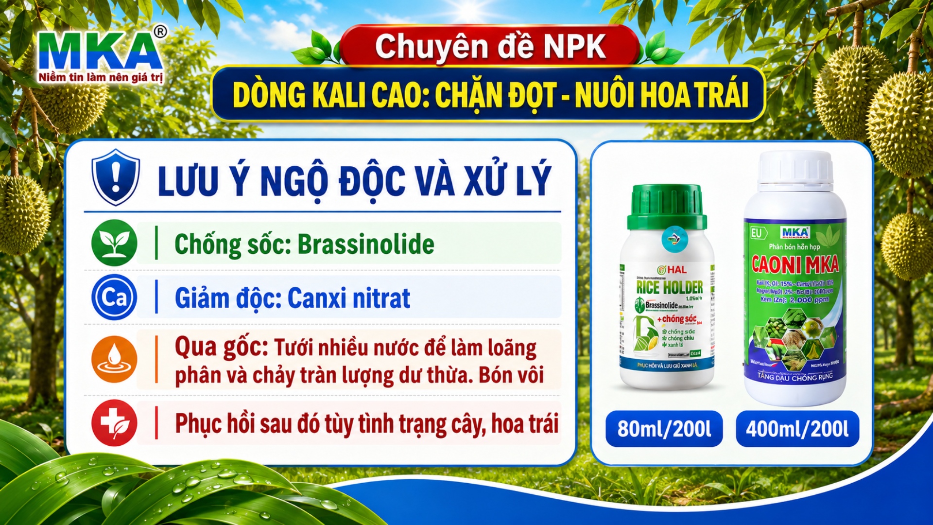 Giải pháp xử lý ngộ độc phân bón Kali cao